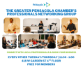 Professionals-Networking-Group-Graphic